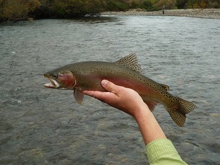 20121119 Redding Rainbow3.JPG