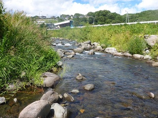P1000458 640X480.jpg