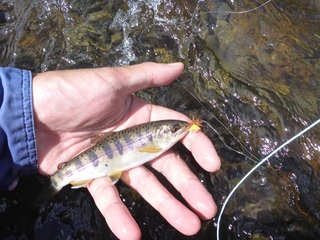 P1000483 640X480.jpg