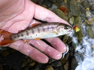 P1000540 640X480.jpg