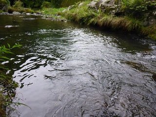 P1000554 640X480.jpg
