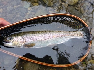 P1000562 640X480.jpg