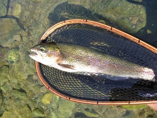 P1000673 640X480.jpg