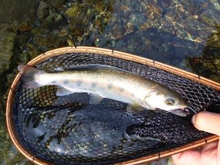 P1000675 640X480.jpg