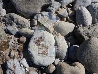 P1000756 640X480.jpg