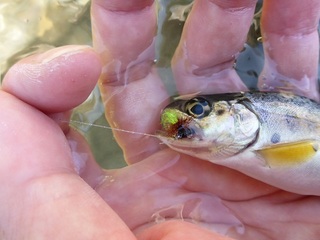P1000762 640X480.jpg