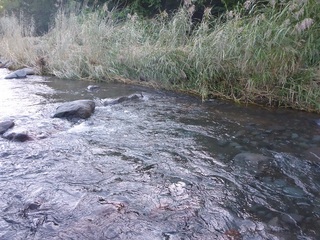 P1000786 640X480.jpg