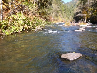 P1000919 640X480.jpg