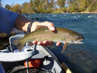 P1010005 640X480.jpg
