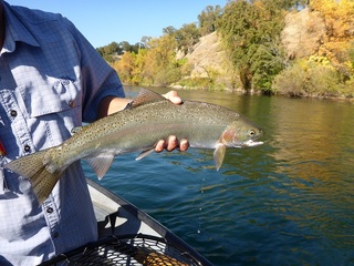 P1010012 640X480.jpg