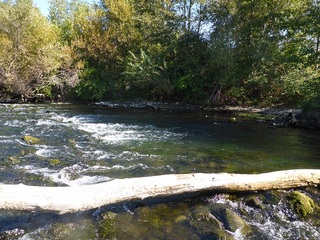 P1010112 640X480.jpg
