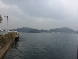 P1010317 640X480.jpg