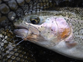 P1050129 640X480.jpg