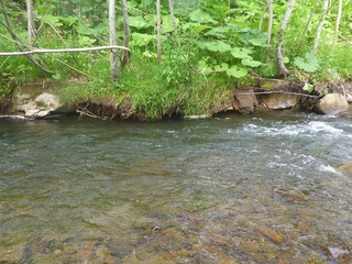 P1050366 640X480.jpg