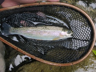 P1030276 640X480.jpg