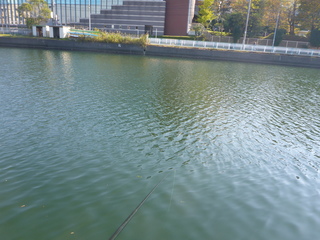 P1050870.JPG