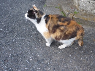 P1080418 640X480.jpg