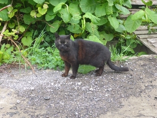 P1080916 640X480.JPG