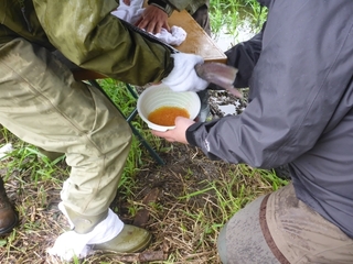 P1100977 640X480.JPG