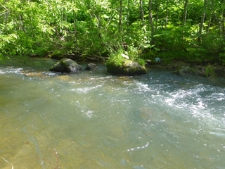 P1110526 640X480.JPG