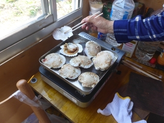 P1120356 640X480.JPG