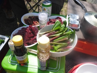 P1120375 640X480.JPG